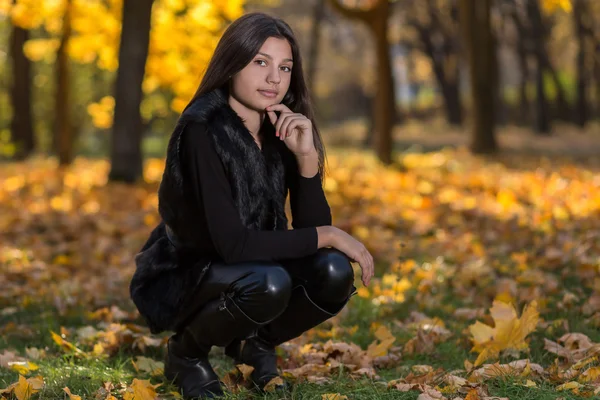 Ragazza nel parco in autunno — Foto Stock