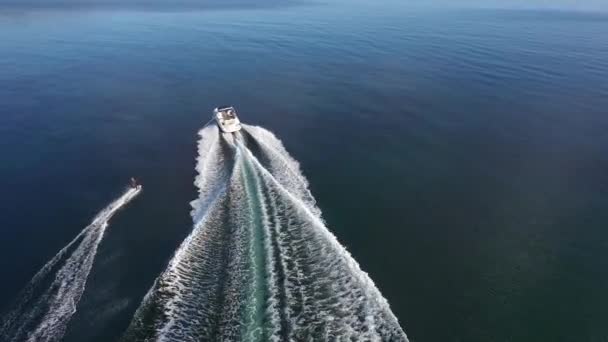 Вид Воздуха Катер Вейкборда Всадника Море — стоковое видео
