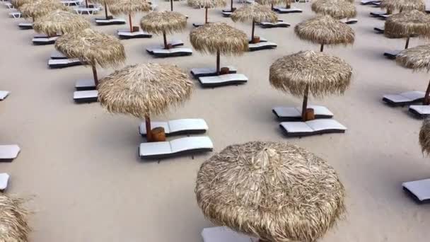 Luchtfoto Van Strandparasols Ligbedden Zandstrand — Stockvideo