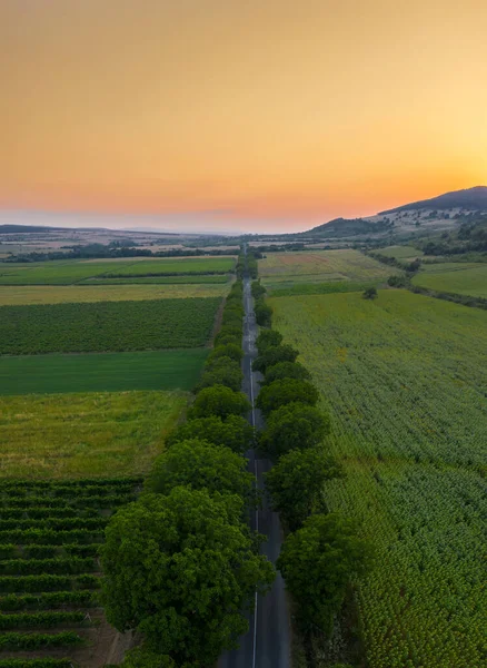 Aerial View Straight Country Road Sunset — Stock Photo, Image