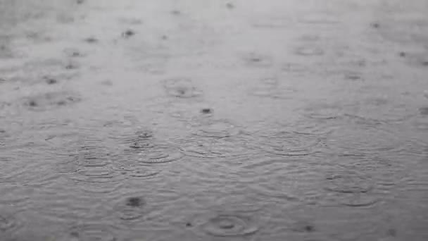 Krople deszczu spadające na ulicy — Wideo stockowe