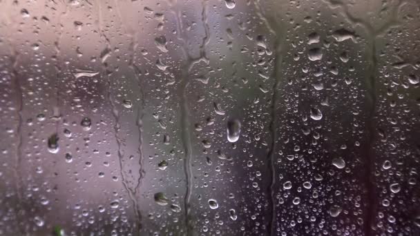 Gotas de lluvia en la ventana — Vídeos de Stock