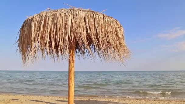 沙滩伞 — 图库视频影像