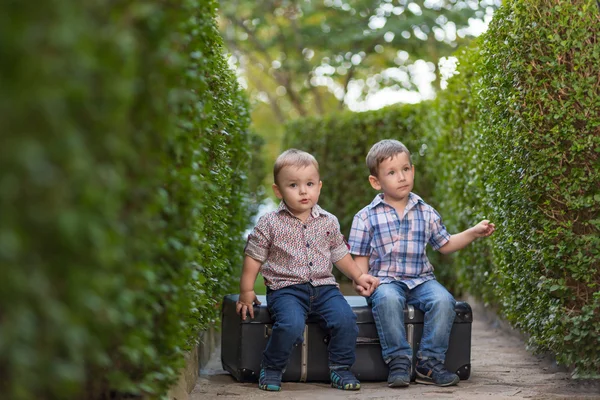 Two brothers sitting on a suitcase — Stock Photo, Image