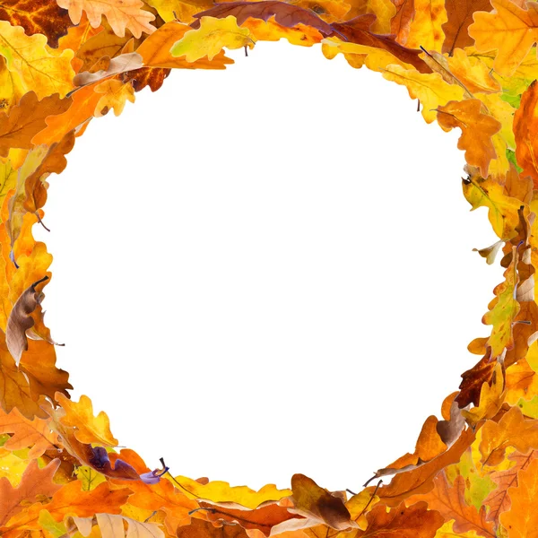 Autumn leaves frame — Stock Photo, Image