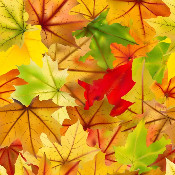Höstens sömlös bakgrund — Stock vektor
