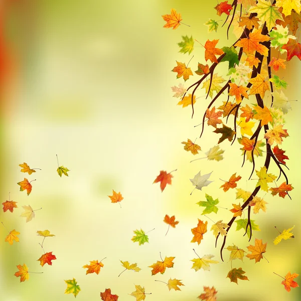 Восени філія — стокове фото