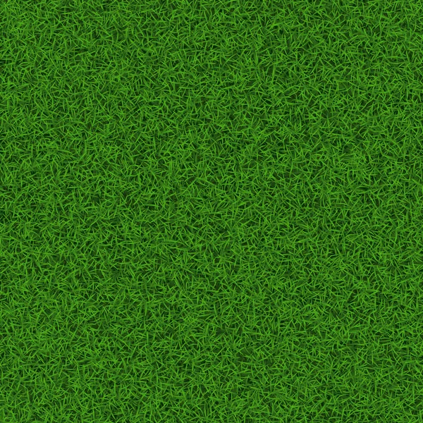 Gras voetbalveld — Stockvector