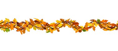 Dikişsiz sonbahar Şubesi