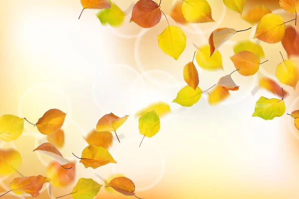 Jesieni w tle — Zdjęcie stockowe