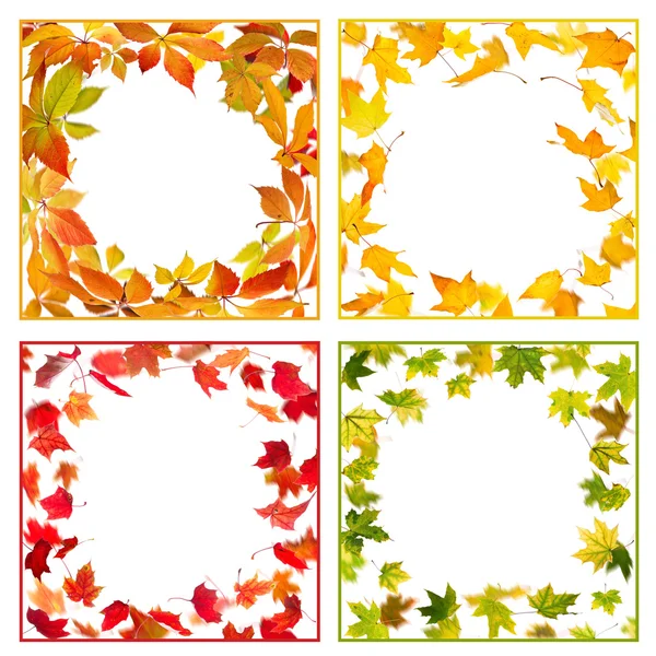 Podzimní rámce — Stock fotografie