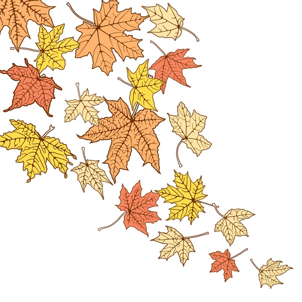 Kleur herfst bladeren sjabloon — Stockvector