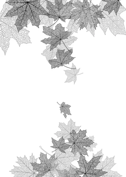 Őszi levelek monokróm sablon — Stock Vector
