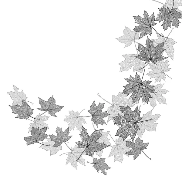 Őszi levelek monokróm sablon — Stock Vector