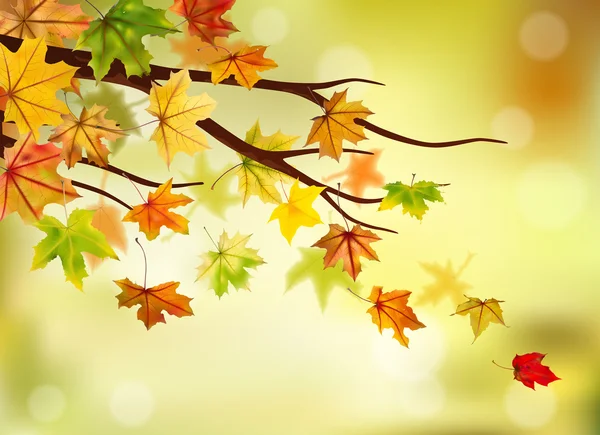 Rama de otoño — Archivo Imágenes Vectoriales