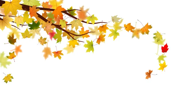 Rama de otoño — Vector de stock