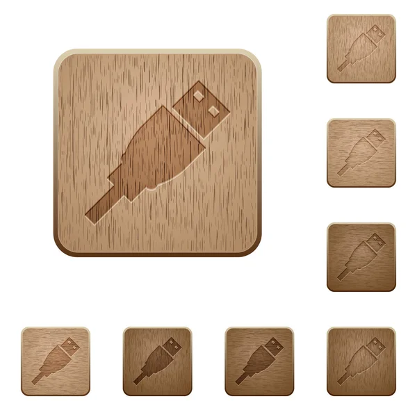 Botones de madera del enchufe USB — Vector de stock