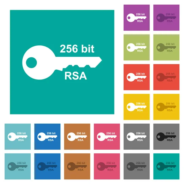 256 Bits Cifrado Rsa Iconos Planos Multicolores Sobre Fondos Cuadrados — Vector de stock