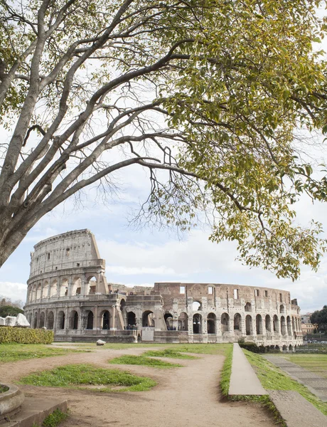 Misuratore di pressione acqua — Foto Stock