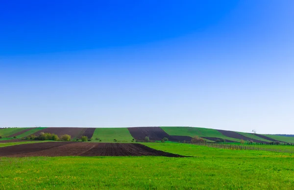 Field Blue Sky Farm Countryside Landscape — Stock Photo, Image