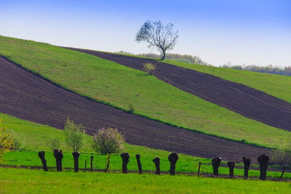 Farm Land Countryside Romania — Stock Photo, Image