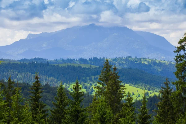 Горы Холмы Чехлау Румыния — стоковое фото