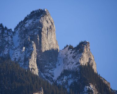 Dağ manzarasında büyük bir kaya. Ceahlau, Romanya
