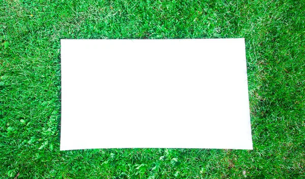 Biała Pusta Plansza Zielonym Tle Trawy Puste Miejsce Tekst Scena — Zdjęcie stockowe