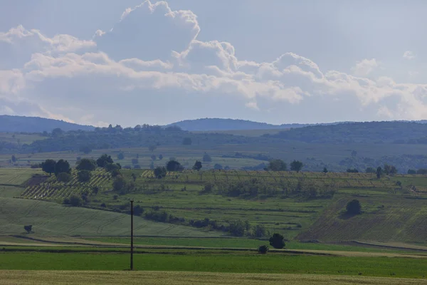 Field Summer Scene Clouds Green Vegetation Romania — Stock Photo, Image