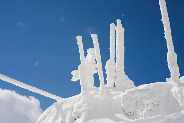 Escena Invierno Con Nieve Hielo Los Postes — Foto de Stock