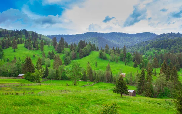 Paysage Estival Dans Moldavie Rurale Roumanie Montagnes Des Carpates Matin — Photo