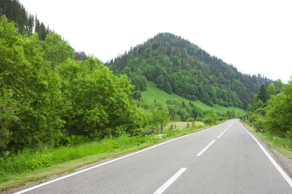 Lege Weg Prachtig Zomers Boslandschap Met Heuvels — Stockfoto