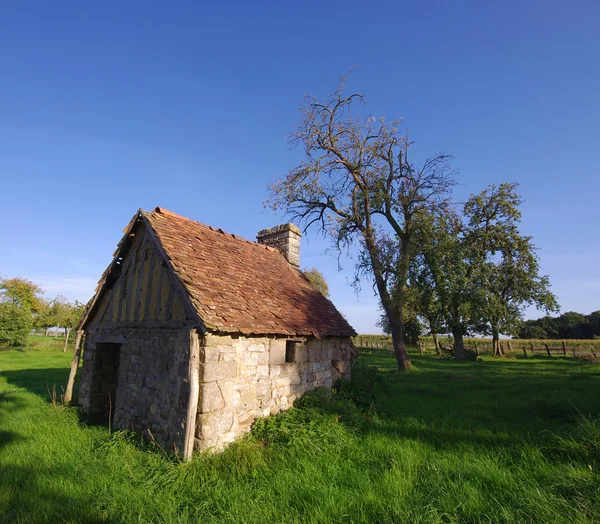 Casa y árbol — Foto de Stock