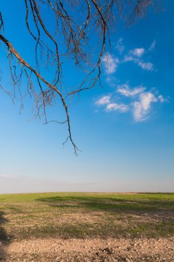 Bahar çöl manzarası