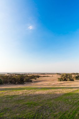 Bahar çöl manzarası