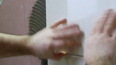 çalışma çini koyar