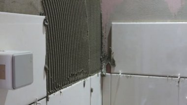 çalışma çini koyar