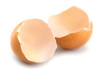 yumurta kabuk portre 