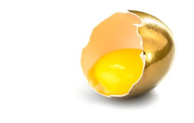 kırık altın yumurta 