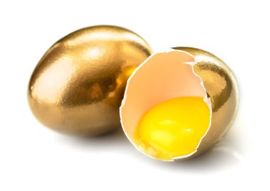 Altın tavuk yumurtası