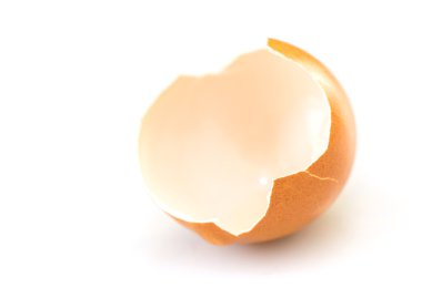 yumurta kabuk portre 