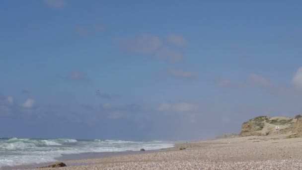 Vagues de mer et la côte — Video