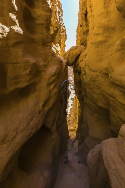 Landscape in the desert — Stock Photo, Image