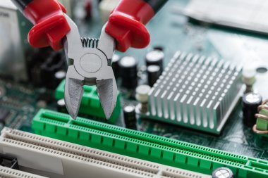 Kerpetenler yakın çekim 