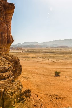 Çölde manzara 