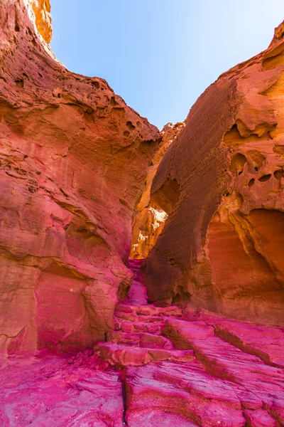 Landscape in the desert — Stock Photo, Image