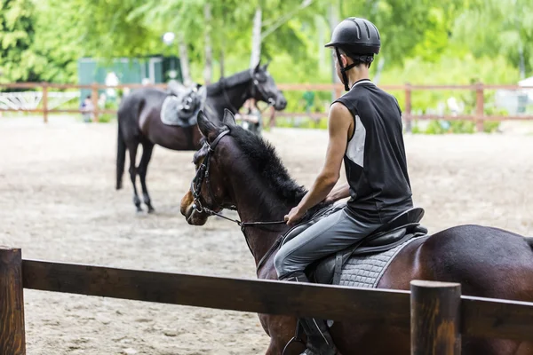 Male athlete rides on horse — Stock Photo, Image