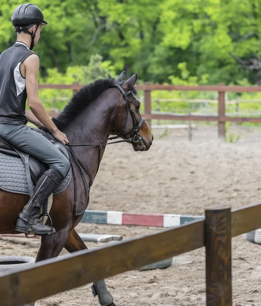 Male athlete rides on horse — Stock Photo, Image