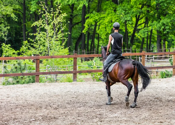 Sportovec jezdí na koni — Stock fotografie