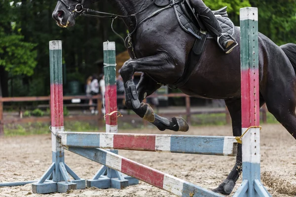 Desportista em cavalo supera barreira — Fotografia de Stock